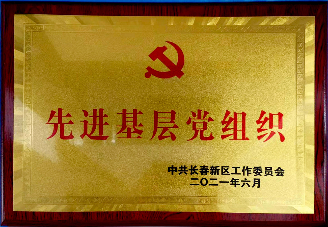 22長春新區(qū)先進(jìn)基層黨組織.jpg